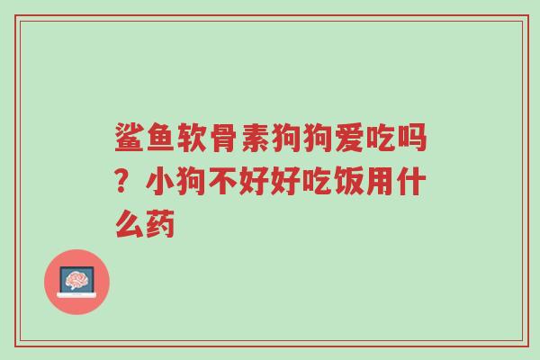 鲨鱼软骨素狗狗爱吃吗?小狗不好好吃饭用什么药-第1张图片-超越 鲨鱼软骨素狗狗爱吃吗?小狗不好好吃饭用什么药-第1张图片-超越