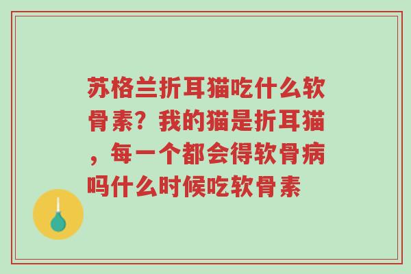 苏格兰折耳猫吃什么软骨素?我的猫是折耳猫,每一个都会得软骨病吗什么时候吃软骨素-第1张图片-超越 苏格兰折耳猫吃什么软骨素?我的猫是折耳猫,每一个都会得软骨病吗什么时候吃软骨素-第1张图片-超越