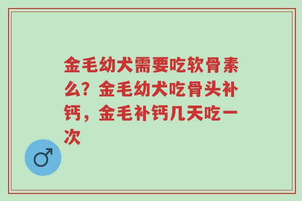 金毛幼犬需要吃软骨素么?金毛幼犬吃骨头补钙,金毛补钙几天吃一次-第1张图片-超越 金毛幼犬需要吃软骨素么?金毛幼犬吃骨头补钙,金毛补钙几天吃一次-第1张图片-超越