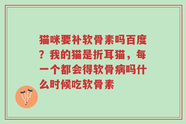 猫咪要补软骨素吗百度?我的猫是折耳猫,每一个都会得软骨病吗什么时候吃软骨素-第1张图片-超越 猫咪要补软骨素吗百度?我的猫是折耳猫,每一个都会得软骨病吗什么时候吃软骨素-第1张图片-超越