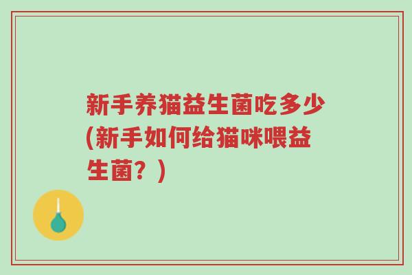 新手养猫益生菌吃多少(新手如何给猫咪喂益生菌?)-第1张图片-超越 新手养猫益生菌吃多少(新手如何给猫咪喂益生菌?)-第1张图片-超越