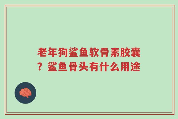 老年狗鲨鱼软骨素胶囊?鲨鱼骨头有什么用途-第1张图片-超越 老年狗鲨鱼软骨素胶囊?鲨鱼骨头有什么用途-第1张图片-超越