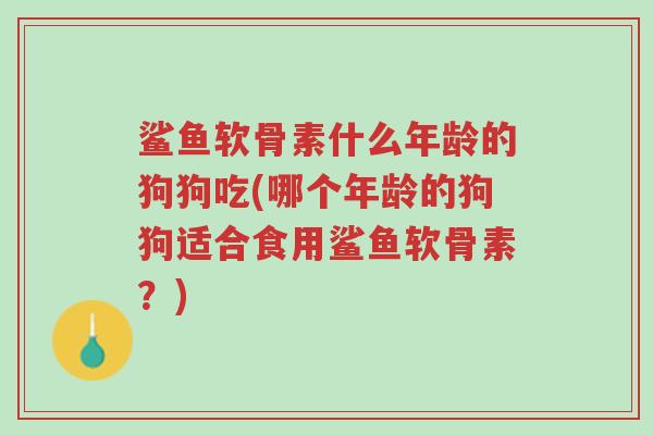 鲨鱼软骨素什么年龄的狗狗吃(哪个年龄的狗狗适合食用鲨鱼软骨素?)-第1张图片-超越 鲨鱼软骨素什么年龄的狗狗吃(哪个年龄的狗狗适合食用鲨鱼软骨素?)-第1张图片-超越