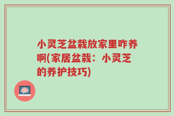 小灵芝盆栽放家里咋养啊(家居盆栽：小灵芝的养护技巧)-第1张图片-超越