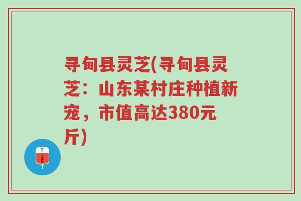 寻甸县灵芝(寻甸县灵芝：山东某村庄种植新宠，市值高达380元斤)-第1张图片-超越