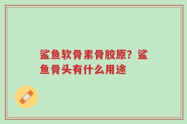 鲨鱼软骨素骨胶原?鲨鱼骨头有什么用途-第1张图片-超越 鲨鱼软骨素骨胶原?鲨鱼骨头有什么用途-第1张图片-超越