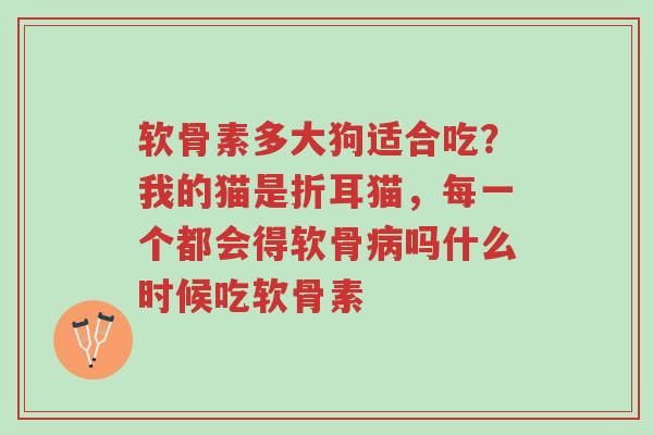 软骨素多大狗适合吃？我的猫是折耳猫，每一个都会得软骨病吗什么时候吃软骨素-第1张图片-超越