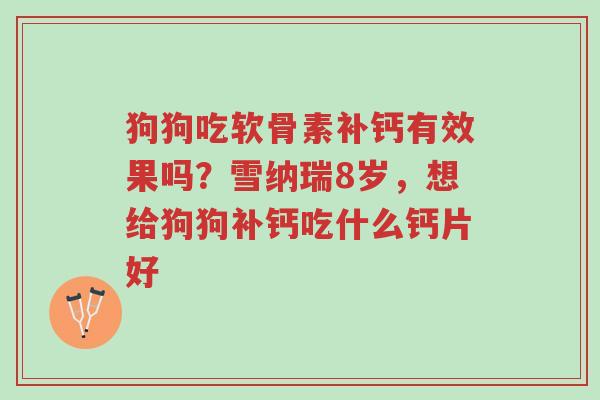 狗狗吃软骨素补钙有效果吗?雪纳瑞8岁,想给狗狗补钙吃什么钙片好-第1张图片-超越 狗狗吃软骨素补钙有效果吗?雪纳瑞8岁,想给狗狗补钙吃什么钙片好-第1张图片-超越