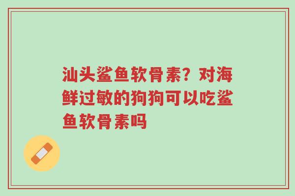 汕头鲨鱼软骨素?对海鲜过敏的狗狗可以吃鲨鱼软骨素吗-第1张图片-超越 汕头鲨鱼软骨素?对海鲜过敏的狗狗可以吃鲨鱼软骨素吗-第1张图片-超越