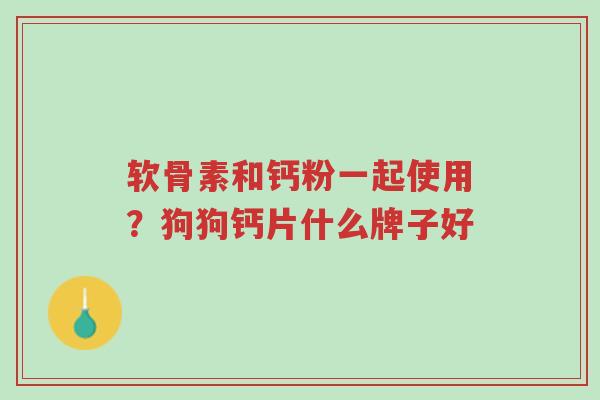 软骨素和钙粉一起使用?狗狗钙片什么牌子好-第1张图片-超越 软骨素和钙粉一起使用?狗狗钙片什么牌子好-第1张图片-超越