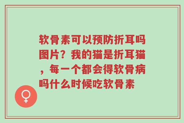 软骨素可以预防折耳吗图片?我的猫是折耳猫,每一个都会得软骨病吗什么时候吃软骨素-第1张图片-超越 软骨素可以预防折耳吗图片?我的猫是折耳猫,每一个都会得软骨病吗什么时候吃软骨素-第1张图片-超越