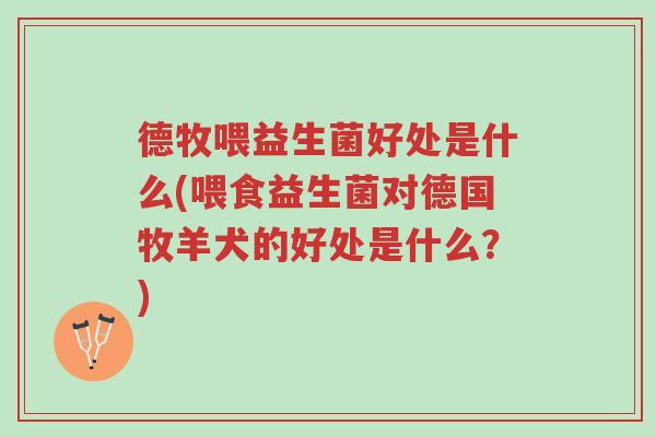 德牧喂益生菌好处是什么(喂食益生菌对德国牧羊犬的好处是什么?)-第1张图片-超越 德牧喂益生菌好处是什么(喂食益生菌对德国牧羊犬的好处是什么?)-第1张图片-超越