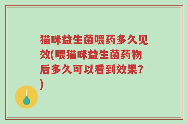 猫咪益生菌喂药多久见效(喂猫咪益生菌药物后多久可以看到效果?)-第1张图片-超越 猫咪益生菌喂药多久见效(喂猫咪益生菌药物后多久可以看到效果?)-第1张图片-超越