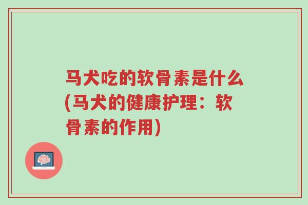 马犬吃的软骨素是什么(马犬的健康护理:软骨素的作用)-第1张图片-超越 马犬吃的软骨素是什么(马犬的健康护理:软骨素的作用)-第1张图片-超越