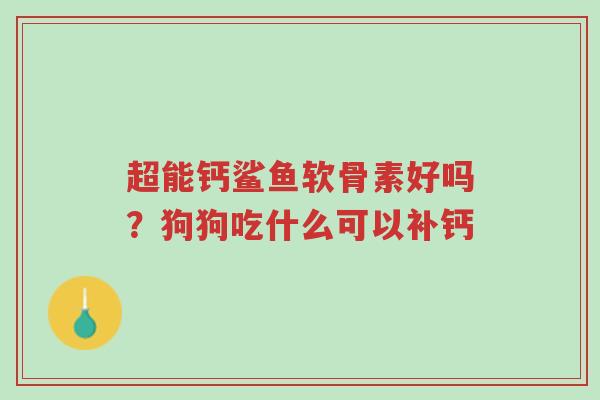 超能钙鲨鱼软骨素好吗?狗狗吃什么可以补钙-第1张图片-超越 超能钙鲨鱼软骨素好吗?狗狗吃什么可以补钙-第1张图片-超越