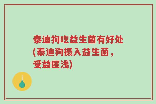 泰迪狗吃益生菌有好处(泰迪狗摄入益生菌,受益匪浅)-第1张图片-超越 泰迪狗吃益生菌有好处(泰迪狗摄入益生菌,受益匪浅)-第1张图片-超越
