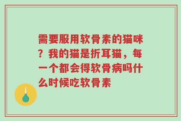 需要服用软骨素的猫咪?我的猫是折耳猫,每一个都会得软骨病吗什么时候吃软骨素-第1张图片-超越 需要服用软骨素的猫咪?我的猫是折耳猫,每一个都会得软骨病吗什么时候吃软骨素-第1张图片-超越