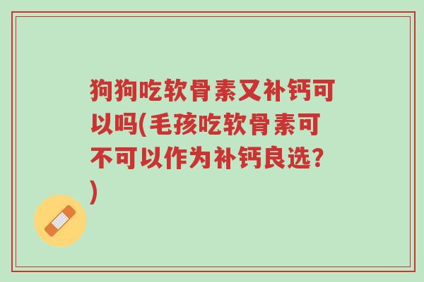 狗狗吃软骨素又补钙可以吗(毛孩吃软骨素可不可以作为补钙良选?)-第1张图片-超越 狗狗吃软骨素又补钙可以吗(毛孩吃软骨素可不可以作为补钙良选?)-第1张图片-超越
