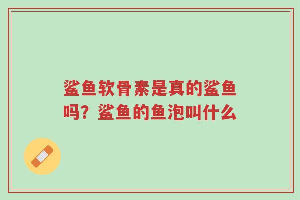 鲨鱼软骨素是真的鲨鱼吗?鲨鱼的鱼泡叫什么-第1张图片-超越 鲨鱼软骨素是真的鲨鱼吗?鲨鱼的鱼泡叫什么-第1张图片-超越
