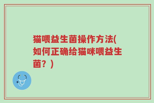 猫喂益生菌操作方法(如何正确给猫咪喂益生菌？)-第1张图片-超越