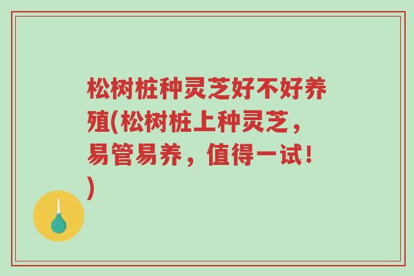 松树桩种灵芝好不好养殖(松树桩上种灵芝,易管易养,值得一试!)-第1张图片-超越 松树桩种灵芝好不好养殖(松树桩上种灵芝,易管易养,值得一试!)-第1张图片-超越