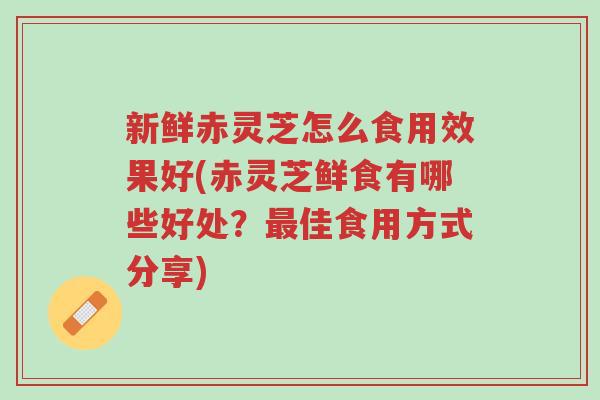 新鲜赤灵芝怎么食用效果好(赤灵芝鲜食有哪些好处?最佳食用方式分享)-第1张图片-超越 新鲜赤灵芝怎么食用效果好(赤灵芝鲜食有哪些好处?最佳食用方式分享)-第1张图片-超越