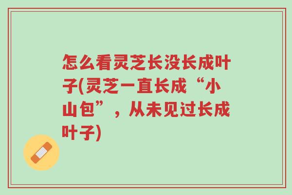 怎么看灵芝长没长成叶子(灵芝一直长成“小山包”,从未见过长成叶子)-第1张图片-超越 怎么看灵芝长没长成叶子(灵芝一直长成“小山包”,从未见过长成叶子)-第1张图片-超越