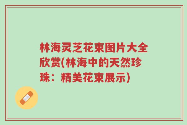 林海灵芝花束图片大全欣赏(林海中的天然珍珠:精美花束展示)-第1张图片-超越 林海灵芝花束图片大全欣赏(林海中的天然珍珠:精美花束展示)-第1张图片-超越