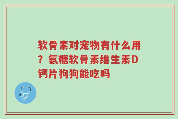 软骨素对宠物有什么用？氨糖软骨素维生素D钙片狗狗能吃吗-第1张图片-超越