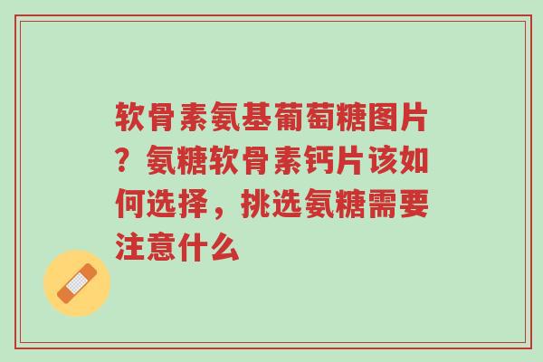 软骨素氨基葡萄糖图片?氨糖软骨素钙片该如何选择,挑选氨糖需要注意什么-第1张图片-超越 软骨素氨基葡萄糖图片?氨糖软骨素钙片该如何选择,挑选氨糖需要注意什么-第1张图片-超越