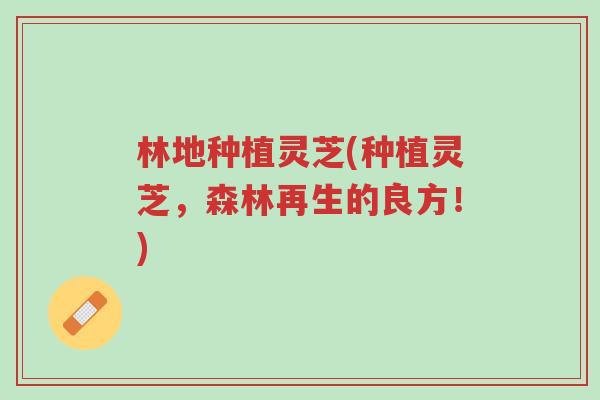 林地种植灵芝(种植灵芝，森林再生的良方！)-第1张图片-超越