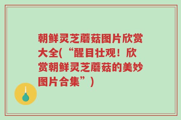 朝鲜灵芝蘑菇图片欣赏大全(“醒目壮观!欣赏朝鲜灵芝蘑菇的美妙图片合集”)-第1张图片-超越 朝鲜灵芝蘑菇图片欣赏大全(“醒目壮观!欣赏朝鲜灵芝蘑菇的美妙图片合集”)-第1张图片-超越