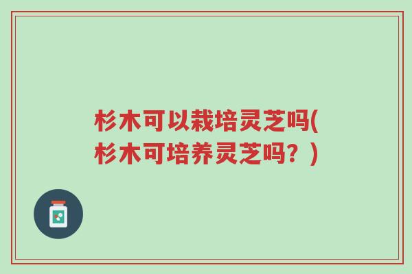 杉木可以栽培灵芝吗(杉木可培养灵芝吗？)-第1张图片-超越