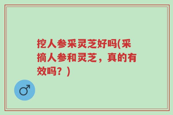 挖人参采灵芝好吗(采摘人参和灵芝,真的有效吗?)-第1张图片-超越 挖人参采灵芝好吗(采摘人参和灵芝,真的有效吗?)-第1张图片-超越