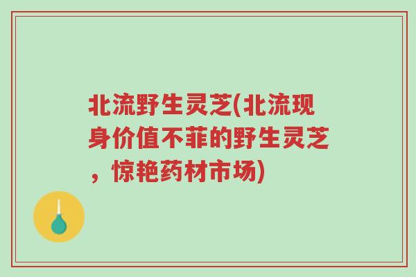 北流野生灵芝(北流现身价值不菲的野生灵芝，惊艳药材市场)-第1张图片-超越