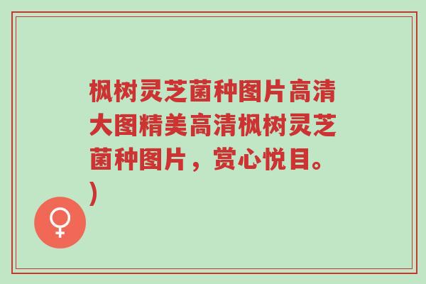 枫树灵芝菌种图片高清大图精美高清枫树灵芝菌种图片,赏心悦目。)-第1张图片-超越 枫树灵芝菌种图片高清大图精美高清枫树灵芝菌种图片,赏心悦目。)-第1张图片-超越