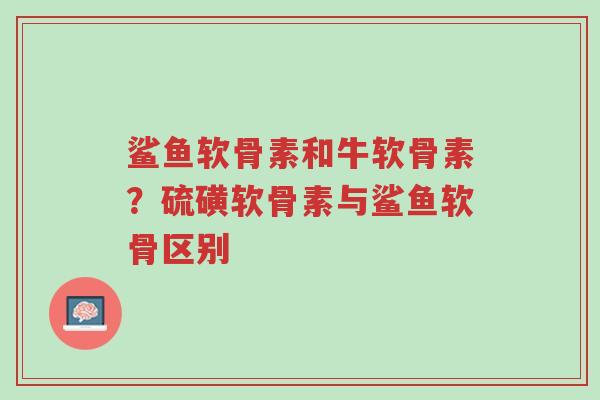 鲨鱼软骨素和牛软骨素?硫磺软骨素与鲨鱼软骨区别-第1张图片-超越 鲨鱼软骨素和牛软骨素?硫磺软骨素与鲨鱼软骨区别-第1张图片-超越