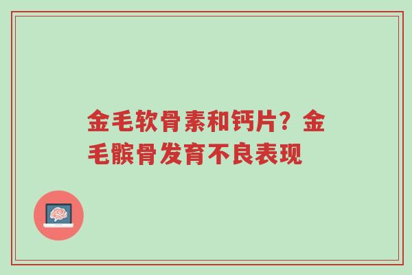 金毛软骨素和钙片?金毛髌骨发育不良表现-第1张图片-超越 金毛软骨素和钙片?金毛髌骨发育不良表现-第1张图片-超越