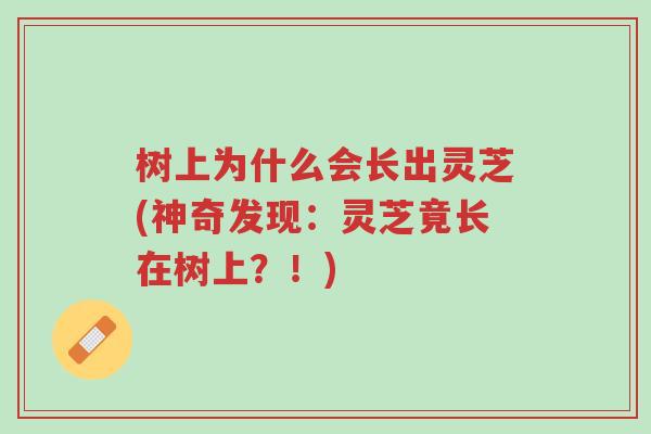 树上为什么会长出灵芝(神奇发现：灵芝竟长在树上？！)-第1张图片-超越