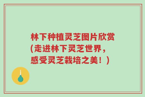 林下种植灵芝图片欣赏(走进林下灵芝世界,感受灵芝栽培之美!)-第1张图片-超越 林下种植灵芝图片欣赏(走进林下灵芝世界,感受灵芝栽培之美!)-第1张图片-超越