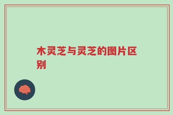 木灵芝与灵芝的图片区别-第1张图片-超越