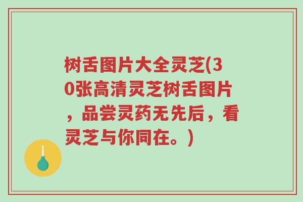 树舌图片大全灵芝(30张高清灵芝树舌图片,品尝灵药无先后,看灵芝与你同在。)-第1张图片-超越 树舌图片大全灵芝(30张高清灵芝树舌图片,品尝灵药无先后,看灵芝与你同在。)-第1张图片-超越