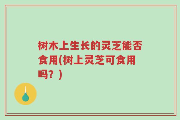 树木上生长的灵芝能否食用(树上灵芝可食用吗？)-第1张图片-超越