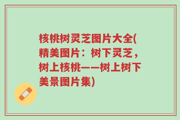 核桃树灵芝图片大全(精美图片：树下灵芝，树上核桃——树上树下美景图片集)-第1张图片-超越