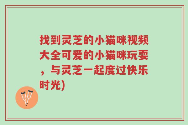 找到灵芝的小猫咪视频大全可爱的小猫咪玩耍,与灵芝一起度过快乐时光)-第1张图片-超越 找到灵芝的小猫咪视频大全可爱的小猫咪玩耍,与灵芝一起度过快乐时光)-第1张图片-超越