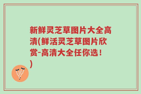 新鲜灵芝草图片大全高清(鲜活灵芝草图片欣赏-高清大全任你选!)-第1张图片-超越 新鲜灵芝草图片大全高清(鲜活灵芝草图片欣赏-高清大全任你选!)-第1张图片-超越