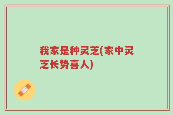 我家是种灵芝(家中灵芝长势喜人)-第1张图片-超越