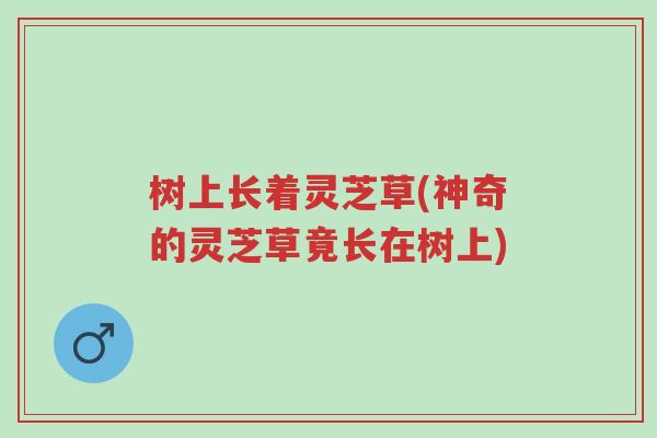 树上长着灵芝草(神奇的灵芝草竟长在树上)-第1张图片-超越 树上长着灵芝草(神奇的灵芝草竟长在树上)-第1张图片-超越