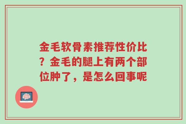 金毛软骨素推荐性价比?金毛的腿上有两个部位肿了,是怎么回事呢-第1张图片-超越 金毛软骨素推荐性价比?金毛的腿上有两个部位肿了,是怎么回事呢-第1张图片-超越