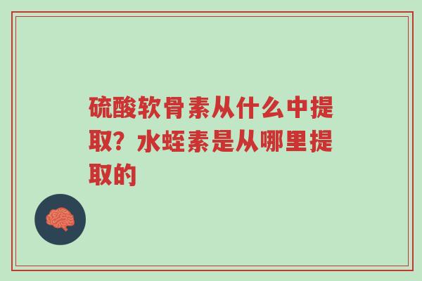 硫酸软骨素从什么中提取?水蛭素是从哪里提取的-第1张图片-超越 硫酸软骨素从什么中提取?水蛭素是从哪里提取的-第1张图片-超越